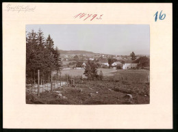 Fotografie Brück & Sohn Meissen, Ansicht Spechtshausen, Blick Vom Wald Auf Den Ort  - Places