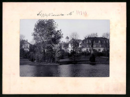 Fotografie Brück & Sohn Meissen, Ansicht Bischofswerda I. Sa., Blick Vom Friedrich-August-Park In Die Stadt  - Places