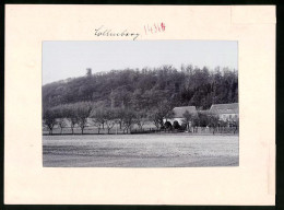 Fotografie Brück & Sohn Meissen, Ansicht Oschatz, Blick Auf Den Collmberg Mit Gutshof  - Places