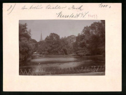 Fotografie Brück & Sohn Meissen, Ansicht Neustadt I. Sa., Blick Auf Den Teich Im Arthur-Richter-Park  - Orte