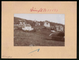 Fotografie Brück & Sohn Meissen, Ansicht Bärenfels, Villen Am Ortsrand  - Orte