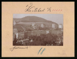 Fotografie Brück & Sohn Meissen, Ansicht Karlsbad, Gartenzeile Mit Flusspartie  - Orte