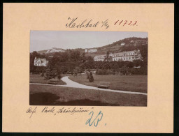 Fotografie Brück & Sohn Meissen, Ansicht Karlsbad, Weingruber's Cafe Park Schönbrunn  - Places