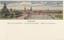 0-8000 DRESDEN, Künstler-Karte, "Blick Von Der Carola - Brücke", Verlag Adler - Dresden