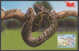 Inde India 2006 Mint Postcard Wildlife Of Rajasthan, Python, Snake, Snakes, Reptile, Wild Life - India