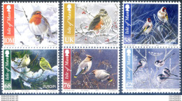 Fauna. Uccellini In Inverno 2011. - Man (Insel)