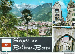 Bm230 Cartolina Saluti Da Bolzano - Bolzano