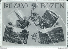 Bm414 Cartolina Bolzano Citta' Bozen - Bolzano