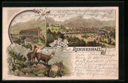 Lithographie Reichenhall, Gradierhaus, Ortsansicht, Bergziegen  - Bad Reichenhall