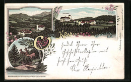 Lithographie Kranichberg B. Gloggnitz, Schloss Und Schule, Uferpartie Mit Rehen Und Fasanen  - Autres & Non Classés