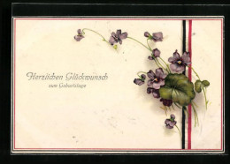 AK Glückwunsch Zum Geburtstag, Veilchen Mit Schleifenband Der Reichsfahne  - War 1914-18