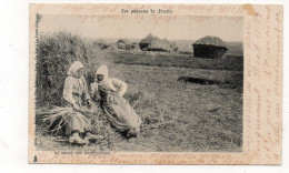 Les Paysannes De France - Le Repos Des Botteleuses - 1902 (L134) - Landwirtschaftl. Anbau