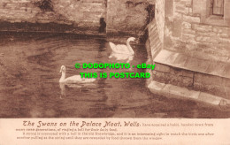 R501657 Wells. The Swans On The Palace Moat. T. W. Phillips. Friths Series No. 5 - Monde