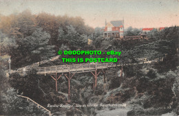 R501877 Bournemouth. Alum Chine. Rustic Bridge. J. Welch. 1907 - Monde