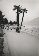 11825209 Lugano TI Motta Promenade Lugano - Sonstige & Ohne Zuordnung