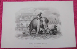 Sri Lankā : Antique Print  Dumont D’Urville (1857) - Historical Documents