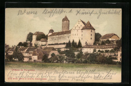 AK Porrentruy, Teilansicht Mit Chateau  - Porrentruy