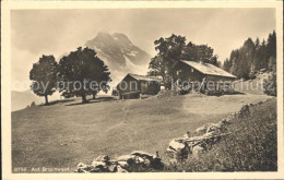 11758999 Braunwald GL  Braunwald - Other & Unclassified