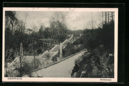 AK Eberswalde, Park Mit Moltketreppe  - Eberswalde