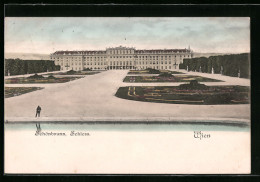 AK Wien, Schönbrunn, Schloss Von Den Anlagen Aus Gesehen  - Autres & Non Classés