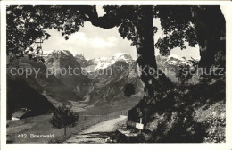 11751419 Braunwald GL Panorama Braunwald - Other & Unclassified