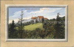 11745579 Solothurn Kurhaus Weissenstein Solothurn - Otros & Sin Clasificación