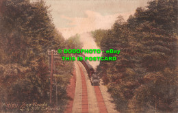 R502157 Witley. Pine Woods. L. And S. W. Express. F. Frith. No. 59573 - Monde