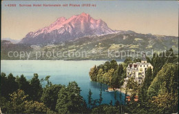 11736879 Hertenstein LU Schlosshotel Mit Pilatus Hertenstein - Sonstige & Ohne Zuordnung