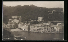 Cartolina Portofino, Panoramablick Auf Den Ort  - Andere & Zonder Classificatie