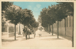 66)   MILLAS  -  Avenue De La Gare - Millas