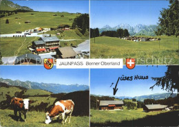 11715527 Jaunpass Passhoehe Panorama Jahrescamping Ferienlager Chilchmoos Jaunpa - Sonstige & Ohne Zuordnung