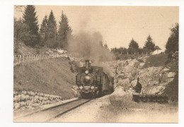 TRAIN À VAPEUR DU CHEMIN DE FER DU BRUNIG AU KAPPELI ENTRE LUNGERN ET BRUNIG-HASLIBERG VERS 1900 - Trains