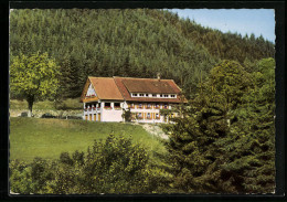 AK Saig /Hochschwarzwald, Pension Waldeck, Inh.: Familie P. Kuttruff  - Hochschwarzwald