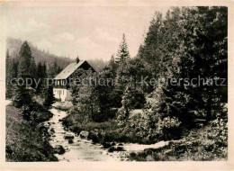 72648880 Waldbaerenburg Riedelmuehle Altenberg - Altenberg