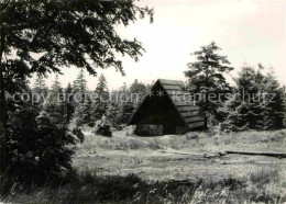 72647301 Altenberg Erzgebirge Georgenfelder Hochmoor  Geising - Geising