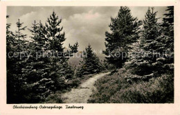 72647273 Oberbaerenburg Tirolerweg  Altenberg - Altenberg