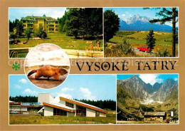 72646282 Vysoke Tatry Tatranske Matliare Panorama Svist Vrchovsky Eurocampo FICC - Slowakije