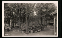 AK Berlin-Grunewald, Gasthaus Schildhorn  - Grunewald