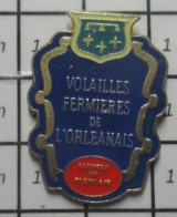 912B Pin's Pins / Beau Et Rare / ALIMENTATION / VOLAILLES FERMIERES DE L'ORLEANAIS - Lebensmittel
