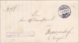 Neustadt/Orla Nach Braunhof 1913 - Cartas & Documentos