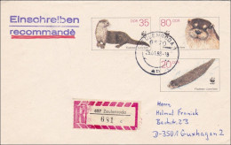 1988: Einschreiben Aus Zeulenroda Nach Guxhagen - Fischotter - Ganzsache U7 - Cartas & Documentos