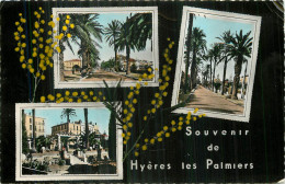 SOUVENIR De HYERES LES PALMIERS - Hyeres