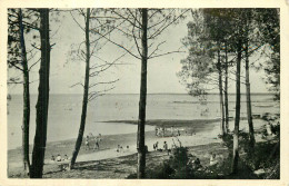 CAZAUX . Bords Du Lac . La Jemeyre  - Sonstige & Ohne Zuordnung