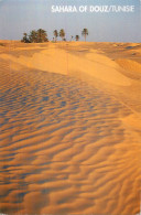 SAHARA DE DOUZ . CP Avec Timbre 600 Le Goeland D'Audouin - Tunesië