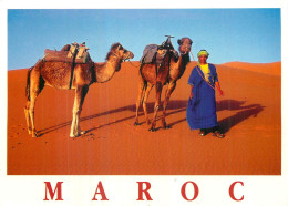 Dune De Merzouga . MAROC .  - Other & Unclassified