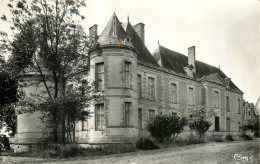 GERMIGNY L'EXEMPT .  Château De Chateaurenaud . Façade Du Parc .  - Other & Unclassified