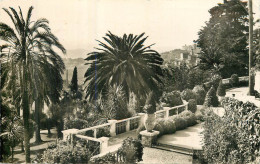 GRASSE. Vue Prise Du Jardin Du Parc Palace . - Grasse