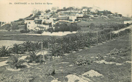 CARTHAGE . La Colline De Byrsa - Tunisia