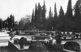 FES . Le Jardin De Bou Jeloud - Fez (Fès)