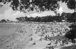 NOIRMOUTIER . La Plage Des Dames - Noirmoutier